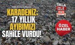 Karadeniz Pisliğini Kustu! Karadeniz; 17 Yıllık Ayıbımızı Sahile Vurdu!