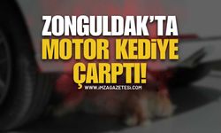 Kilimli’de Kaza: Yola Fırlayan Kedi Motosikletliyi Devirdi!