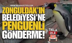 Mustafa Çağlayan’dan Zonguldak Belediyesi'ne Penguenli Gönderme!