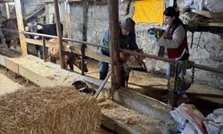 O Beldede Hastalıklar Kontrol Edildi!