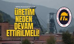 Taş Kömürü Havzasında Üretim Neden Devam Ettirilmeli!