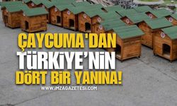 Türkiye’nin Dört Bir Yanına ÇAYBEL İmzalı Köpek Kulübeleri!