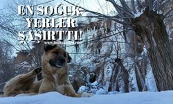 Türkiye'nin En Soğuk Yerleri! İlk 4'de 3 Karadeniz ili