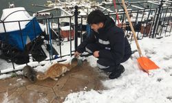Ereğli Belediyesi sokaktaki canları unutmadı!