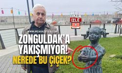 Zonguldak'a yakışmıyor! Nerede bu çiçek?