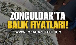 Zonguldak Balık Fiyatları: 25 Ocak 2026