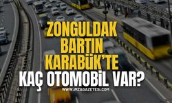 Zonguldak,Bartın ve Karabük'te Kaç Otomobil Var?