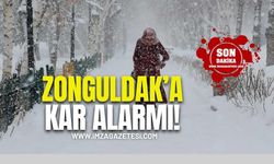 Zonguldak'ta kar alarmı!