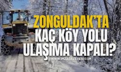 Zonguldak’ta Kaç Köy Yolu Ulaşıma kapalı?
