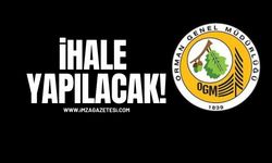 Zonguldak’taki Müdürlüğe İş Yeri Hekimliği Hizmet Alımı İhalesi!