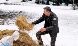 Bir Avuç Yem, Bir Hayat!