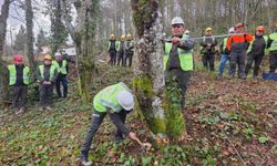 Üretim ve İş Güvenliğinde Ortak Akıl Yüksek Standart!