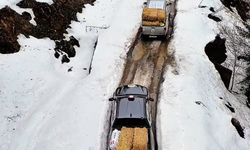 Yaban Hayatı İçin Seferberlik!