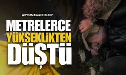 Alaplı'da Korkutan Olay! Metrelerce Yükseklikten Düştü