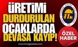 Dudak Uçuklatıyor! TTK’da Üretimi Durdurulan Ocaklarda Devasa Kayıp!