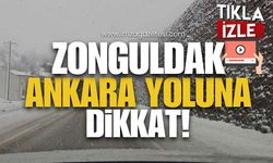 Zonguldak-Ankara Yoluna Dikkat!