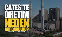 Çatalağzı Termik Santrali’nde (ÇATES) Üretim Neden Durdu?
