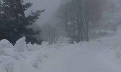 Yedigöller Milli Parkı yolunda kar yağışı etkili oluyor