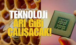 Bilim İnsanları Arı Beyninden İlham Aldı... Yeni Nesil GPS Çipleri Geliyor!
