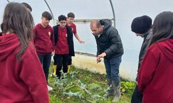 Çaycuma’da Hasat ve Bakım Zamanı!