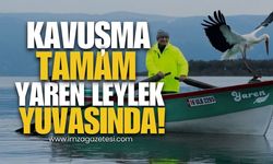 Kavuşma Tamam, Yaren Leylek Yuvasında!