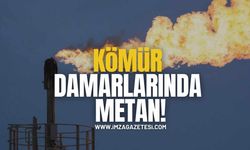 Kömür Damarlarında Metan Oluşumu!