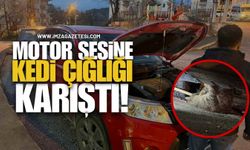 Motor Sesine Kedi Çığlığı Karıştı!