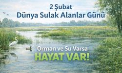 "Ormanlar Su Kaynaklarının Teminatıdır"