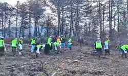 Ateş Yaktı Biz Yeniden Kuruyoruz Yeşil Vatanı Teslim Etmiyoruz!