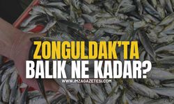 Zonguldak’ta Tezgahlar Doldu! Balık Ne Kadar Oldu?