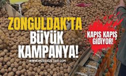 Zonguldak’taki Kampanyada Cevizler Kapış Kapış!