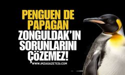 Penguen de Papağan da Zonguldak’ın Sorunlarını Çözmez!