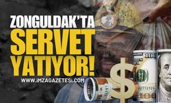 Zonguldak'ın Altında Servet Yatıyor!