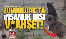 Zonguldak’ta İnsanlık Dışı V*hşet! Bacaklarını Kestiler!