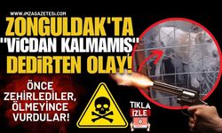 Zonguldak'ta "Vicdan Kalmamış" Dedirten Olay! Önce Zehirlediler, Ölmeyince Vurdular!
