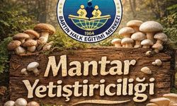 Mantar Yetiştiriciliği Kursu Başlıyor!