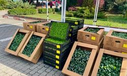 Yüzde 75 Hibeli Başvurular Sona Erdi!