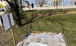 Zonguldak’taki Caminin Bahçesinde Farkındalık Ve Sanat!