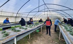 Zonguldak'ta Sera Kursunda Seraya Girildi