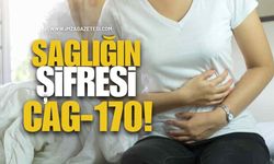 Bağırsak Sağlığının Şifresi CAG-170!