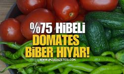 Yüzde 75 Hibeli Domates, Biber, Hıyar…!