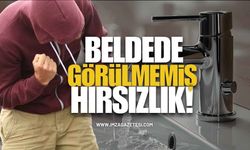 Beldenin Tuvaletinde Görülmemiş Hırsızlık!