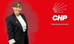 CHP Zonguldak İl Başkanlığına Özlem Danış Vekâlet Edecek