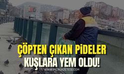 Pideler Çöpten Çıktı Kuşlara Yem Oldu!