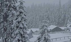 Yüksek Kesimler Beyaza Büründü!