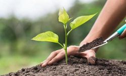 Her Fidan Yarına Atılan İmzadır!