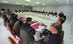 Ormancılık Yarışmaları!