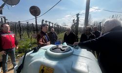 Tarımda Örnek Adımlar!