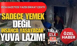 İmza Gazetesi Yazdı Dikkat Çekti! Sadece Yemek Değil, İnsan Gibi Yaşayacak Bir Yuva Lazım!