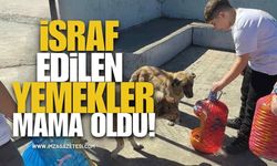 İsraf Edilen Yemekler Mama Oldu!